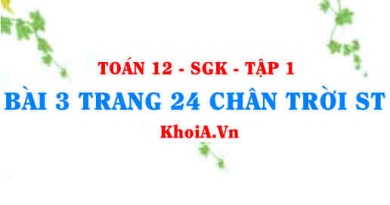 Bài 3 trang 24 Toán 12 Tập 1 Chân trời sáng tạo